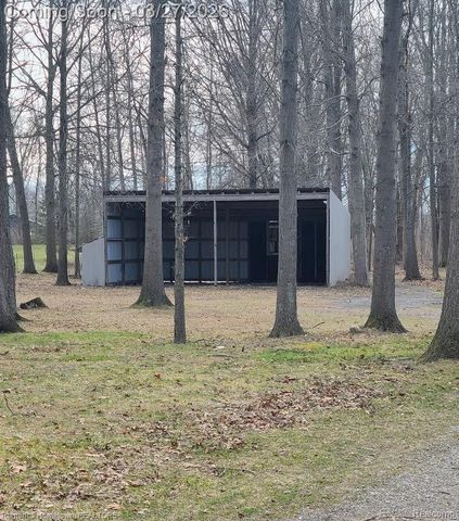 15131 Cortz Road, Summerfield Township, MI 49270