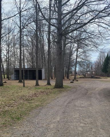 15131 Cortz Road, Summerfield Township, MI 49270