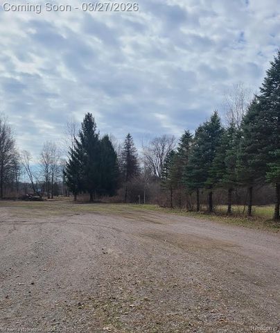 15131 Cortz Road, Summerfield Township, MI 49270