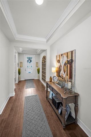 11211 LARK LANDING COURT, Riverview, FL 33569