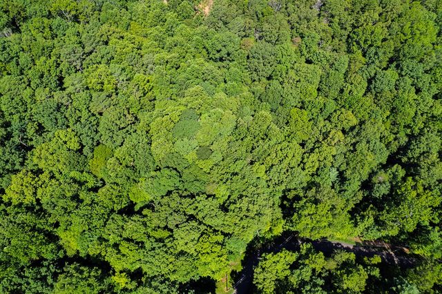 Lot 1164 Spalding Circle, Ellijay, GA 30540