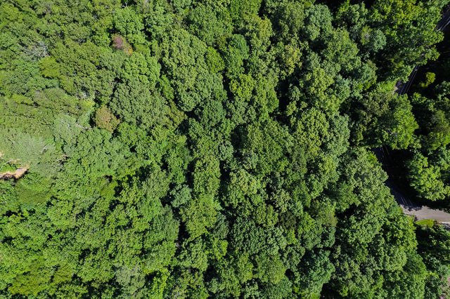 Lot 1164 Spalding Circle, Ellijay, GA 30540