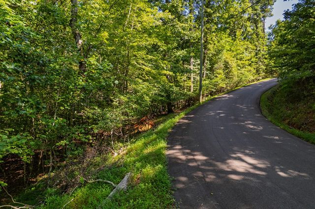 Lot 1164 Spalding Circle, Ellijay, GA 30540