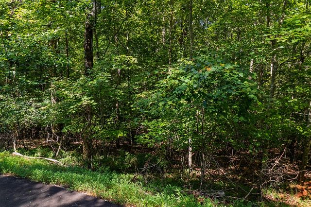 Lot 1164 Spalding Circle, Ellijay, GA 30540