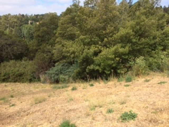 3257 Monterey Blvd., Oakland, CA 94602