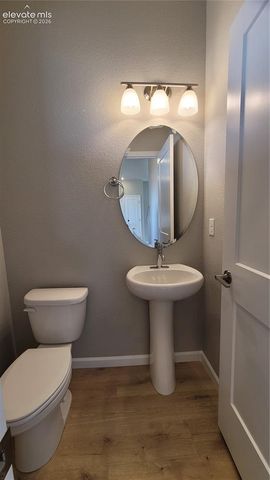 723 Belleza View, Colorado Springs, CO 80907