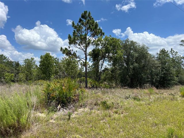 3309/3323 W HAMPSHIRE BOULEVARD, Citrus Springs, FL 34433