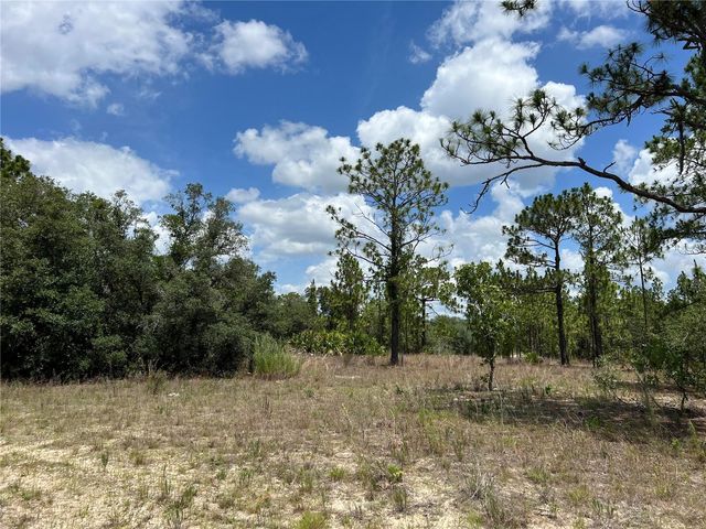 3309/3323 W HAMPSHIRE BOULEVARD, Citrus Springs, FL 34433