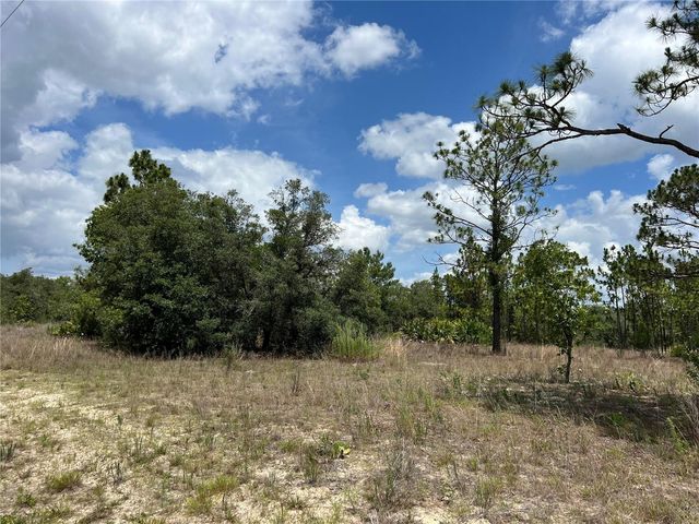 3309/3323 W HAMPSHIRE BOULEVARD, Citrus Springs, FL 34433