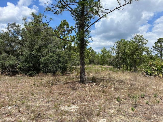 3309/3323 W HAMPSHIRE BOULEVARD, Citrus Springs, FL 34433