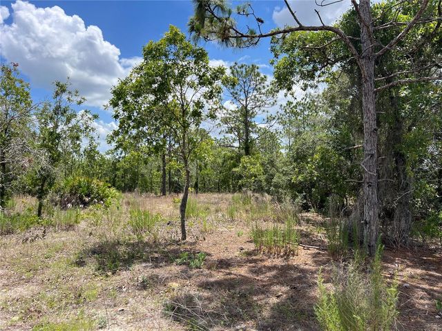 3309/3323 W HAMPSHIRE BOULEVARD, Citrus Springs, FL 34433