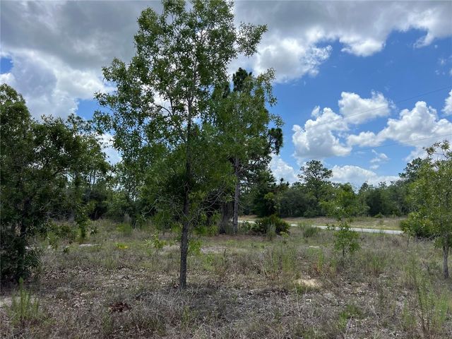 3309/3323 W HAMPSHIRE BOULEVARD, Citrus Springs, FL 34433