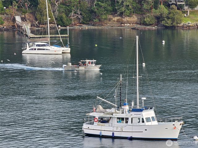 460 Harrison Street, Friday Harbor, WA 98250