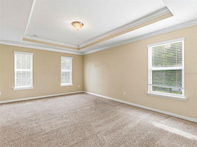 2499 CALVANO DRIVE, Land O Lakes, FL 34639