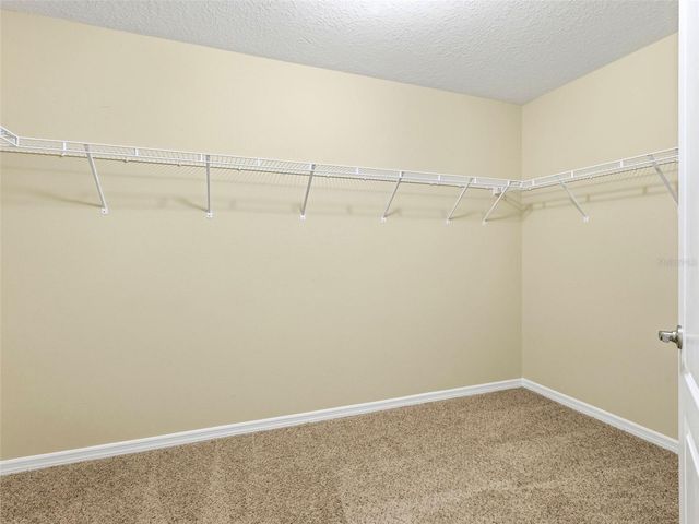 2499 CALVANO DRIVE, Land O Lakes, FL 34639