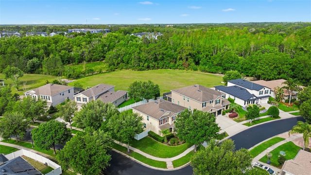 2499 CALVANO DRIVE, Land O Lakes, FL 34639