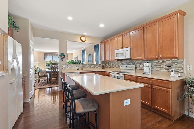 13233 Bundoran Court, Orland Park, IL 60462