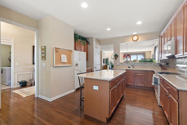 13233 Bundoran Court, Orland Park, IL 60462