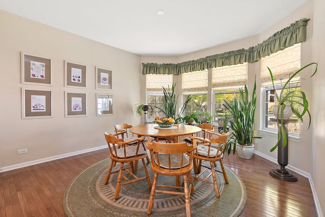 13233 Bundoran Court, Orland Park, IL 60462