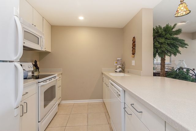 13233 Bundoran Court, Orland Park, IL 60462