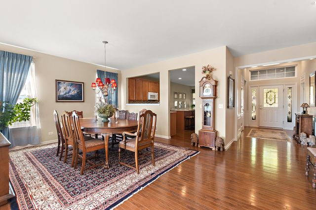 13233 Bundoran Court, Orland Park, IL 60462