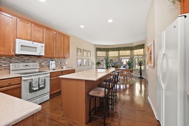 13233 Bundoran Court, Orland Park, IL 60462