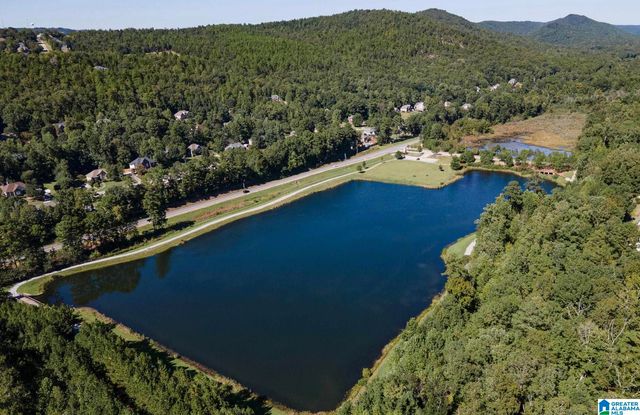 576 FOREST LAKES DRIVE, Sterrett, AL 35147