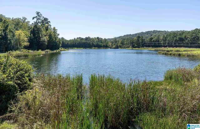 576 FOREST LAKES DRIVE, Sterrett, AL 35147