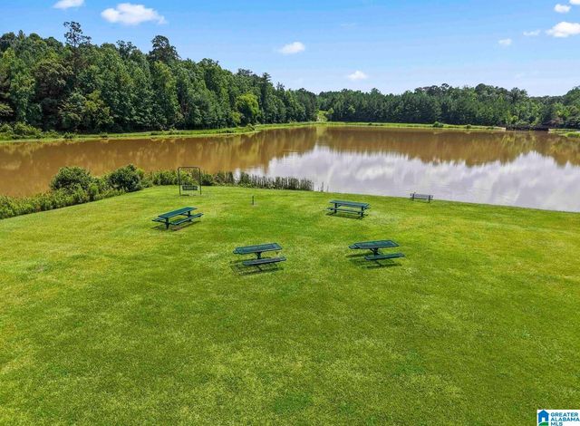 576 FOREST LAKES DRIVE, Sterrett, AL 35147