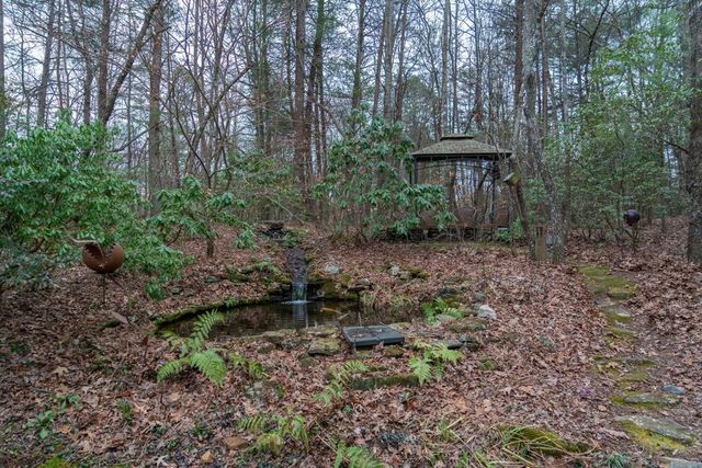 561 Cartecay Trace, Ellijay, GA 30536