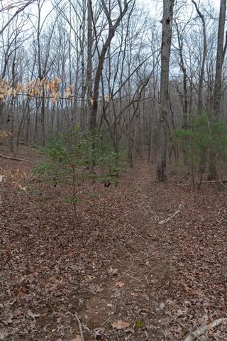 561 Cartecay Trace, Ellijay, GA 30536