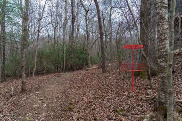 561 Cartecay Trace, Ellijay, GA 30536