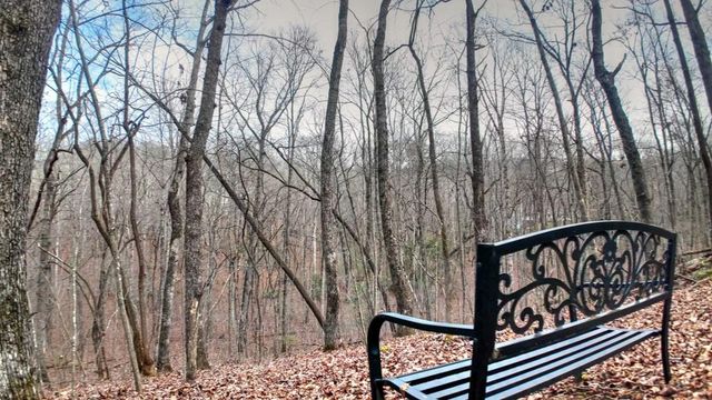 561 Cartecay Trace, Ellijay, GA 30536