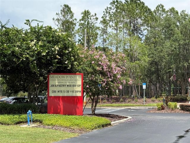 31203 FLANNERY COURT, Wesley Chapel, FL 33543