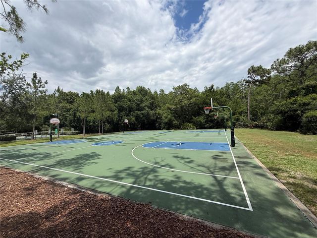 31203 FLANNERY COURT, Wesley Chapel, FL 33543