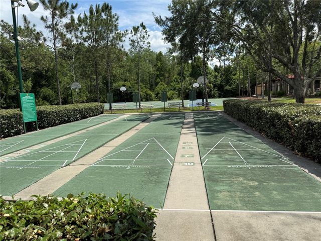 31203 FLANNERY COURT, Wesley Chapel, FL 33543