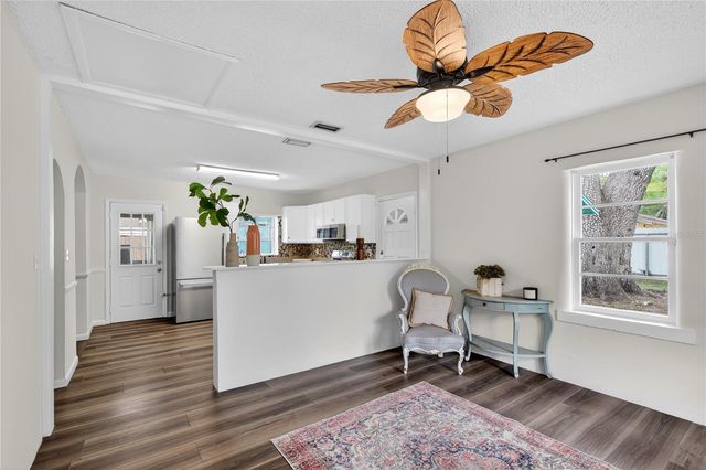 521 MICHIGAN STREET, Mount Dora, FL 32757