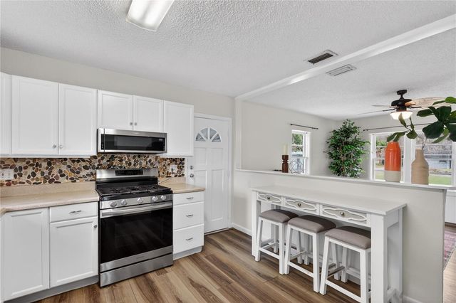 521 MICHIGAN STREET, Mount Dora, FL 32757