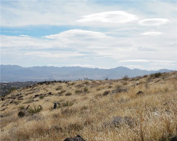 56365 Terra Vista, Yucca Valley, CA 92284
