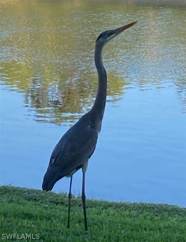 9241 Spring Run BLVD 2206, Estero, FL 34135