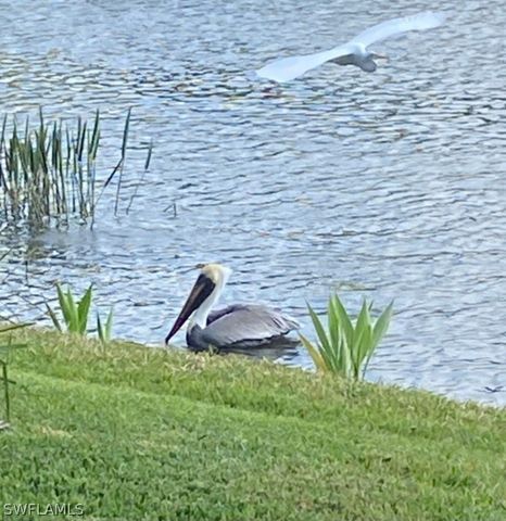 9241 Spring Run BLVD 2206, Estero, FL 34135