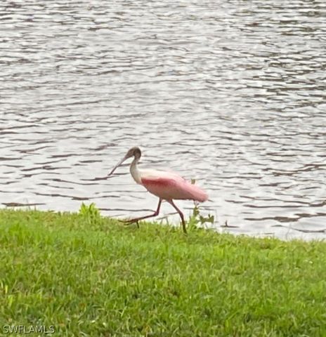 9241 Spring Run BLVD 2206, Estero, FL 34135