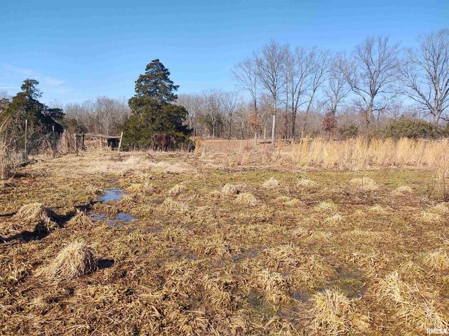 425 PIONEER Lane, Vienna, IL 62995