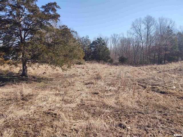 425 PIONEER Lane, Vienna, IL 62995