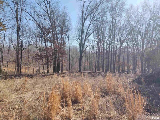 425 PIONEER Lane, Vienna, IL 62995