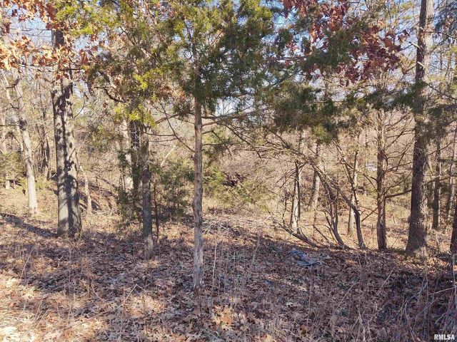 425 PIONEER Lane, Vienna, IL 62995