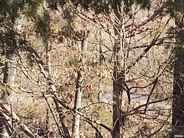 425 PIONEER Lane, Vienna, IL 62995