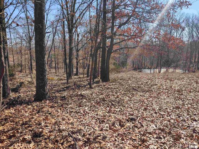 425 PIONEER Lane, Vienna, IL 62995