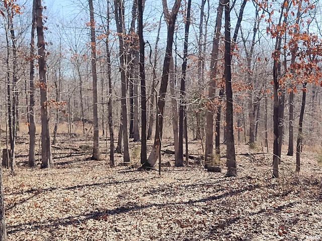 425 PIONEER Lane, Vienna, IL 62995