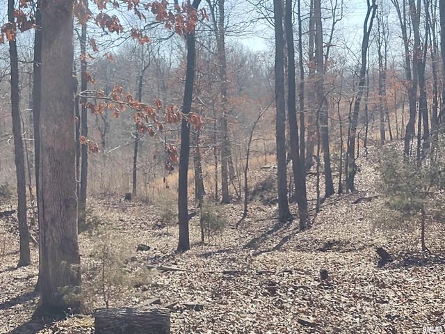 425 PIONEER Lane, Vienna, IL 62995